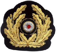 Insignia